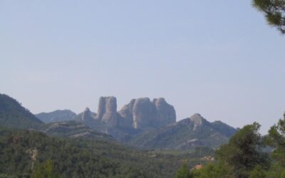 HORTA DE SANT JOAN