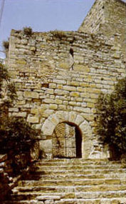 BARBERÀ DE LA CONCA