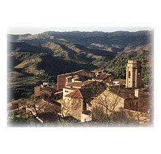 TORROJA DE PRIORAT